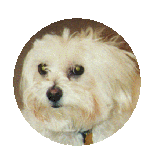 oliver2.gif (11628 bytes)